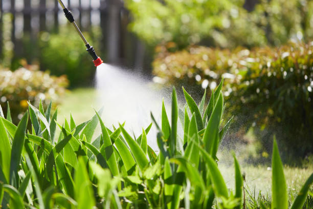 24/7 Emergency Wasp Removal experts in Bartlett, IL