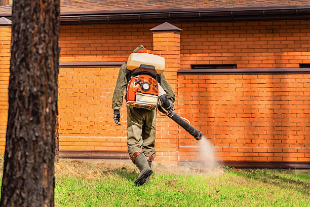 Top rated local Wasp Removal specialists in Bartlett, IL